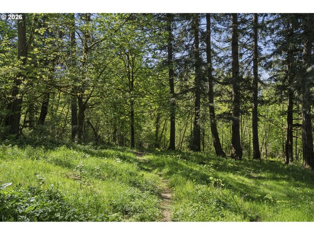 38041 Se RICKERT Rd, Corbett, OR 97019