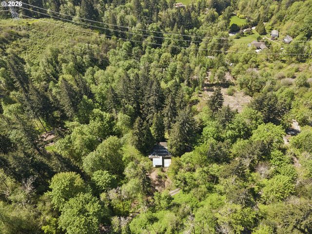 38041 Se RICKERT Rd, Corbett, OR 97019