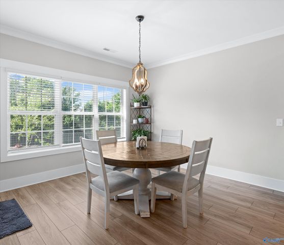 29198 Canoe Circle, Harvest, AL 35749