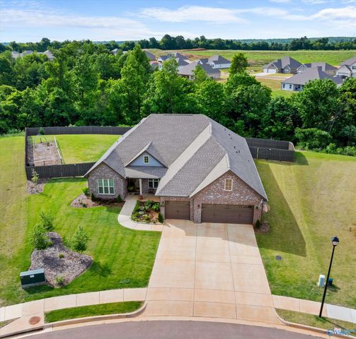 29198 Canoe Circle, Harvest, AL 35749