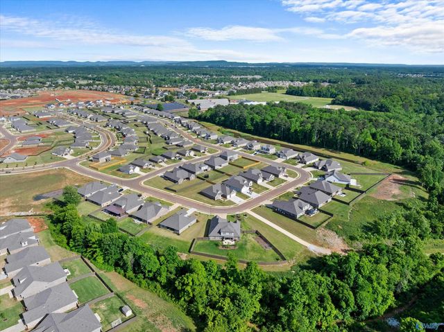 29198 Canoe Circle, Harvest, AL 35749