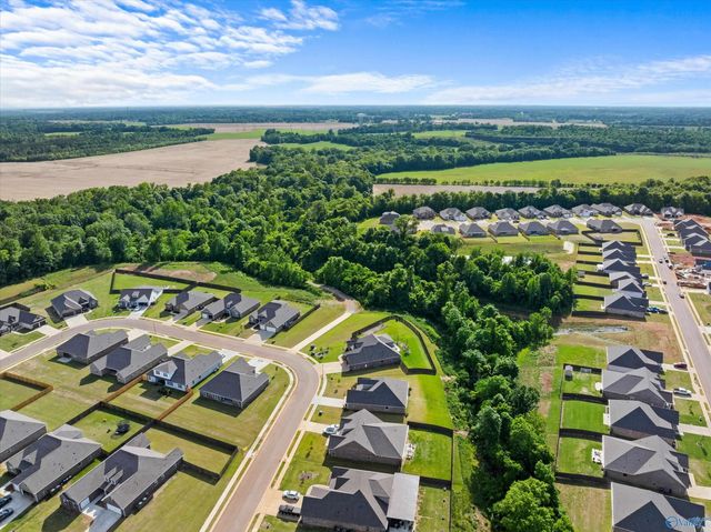 29198 Canoe Circle, Harvest, AL 35749