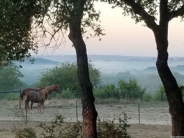 1041 Mystic Breeze, Spring Branch, TX 78070