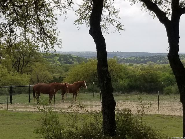 1041 Mystic Breeze, Spring Branch, TX 78070