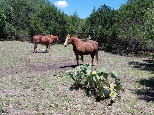 1041 Mystic Breeze, Spring Branch, TX 78070