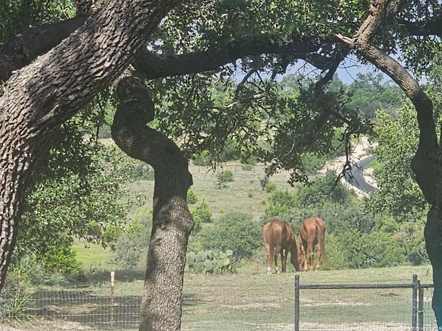 1041 Mystic Breeze, Spring Branch, TX 78070