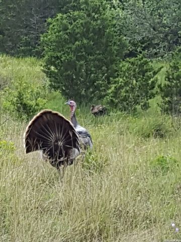 1041 Mystic Breeze, Spring Branch, TX 78070