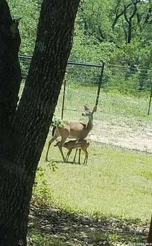 1041 Mystic Breeze, Spring Branch, TX 78070