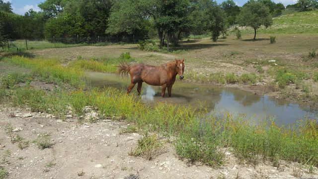 1041 Mystic Breeze, Spring Branch, TX 78070