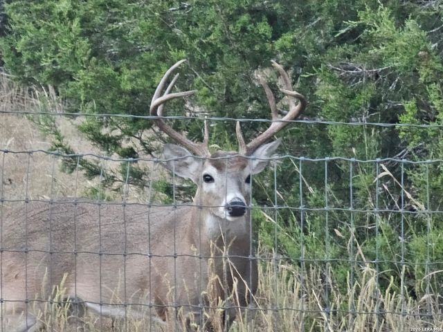 1041 Mystic Breeze, Spring Branch, TX 78070