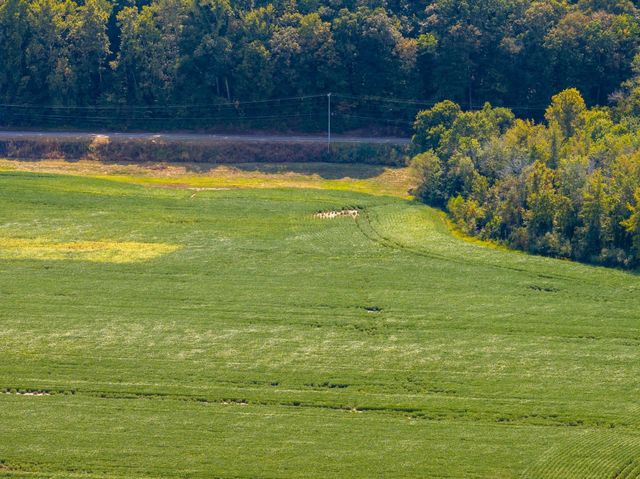 0 Highway 49, W, Ashland City, TN 37015