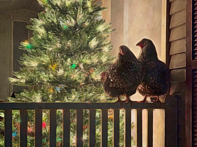 2866 Center Road, Hyde Park, VT 05655