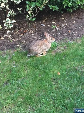 280-320 Oak Street 312B, Ridgewood, NJ 07450