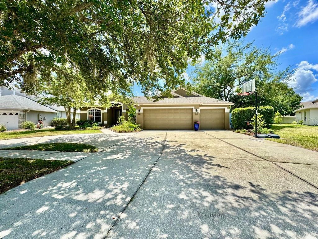 16934 MELISSA ANN DRIVE, Lutz, FL 33558