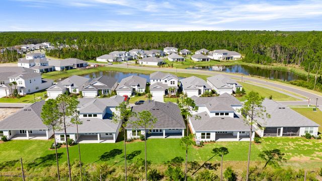 45 Dunns Circle, Inlet Beach, FL 32461