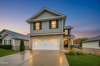 35 Palmetto Court, Johnson City, TN 37615