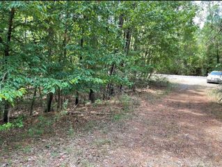 TBD Hickory Circle Circle, Point Blank, TX 77364