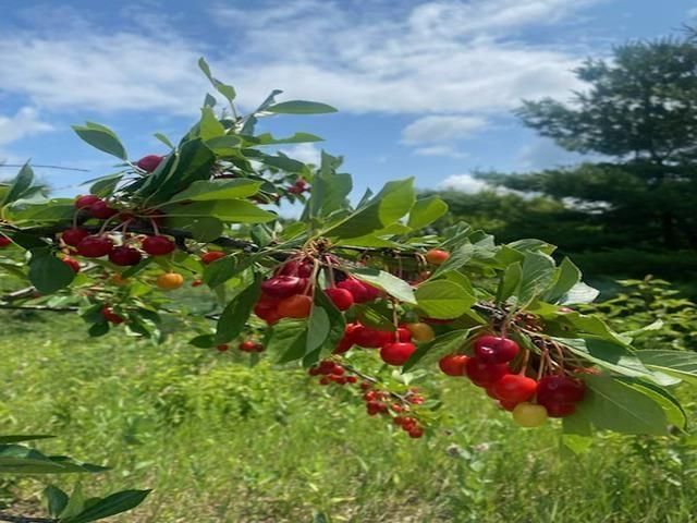 86360 Meyers Olson Road, Bayfield, WI 54814