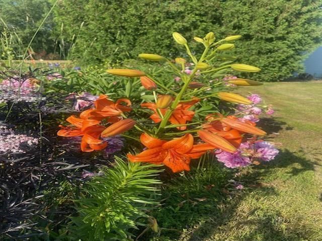 86360 Meyers Olson Road, Bayfield, WI 54814