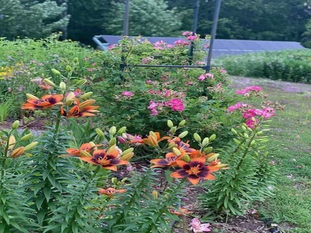 86360 Meyers Olson Road, Bayfield, WI 54814