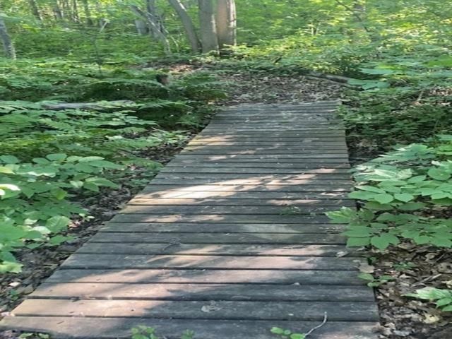 86360 Meyers Olson Road, Bayfield, WI 54814