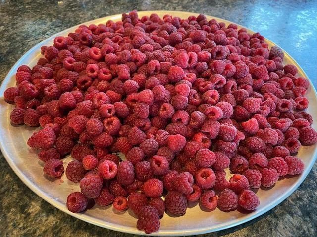 86360 Meyers Olson Road, Bayfield, WI 54814