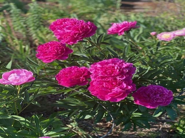 86360 Meyers Olson Road, Bayfield, WI 54814