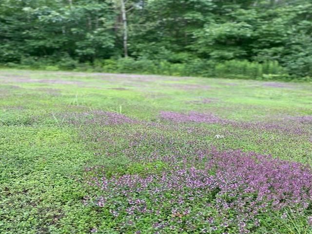 86360 Meyers Olson Road, Bayfield, WI 54814