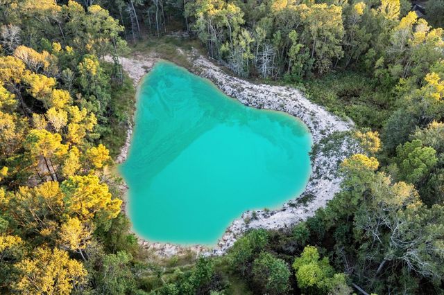 11415 Magnolia Bend Drive, Montgomery, TX 77302