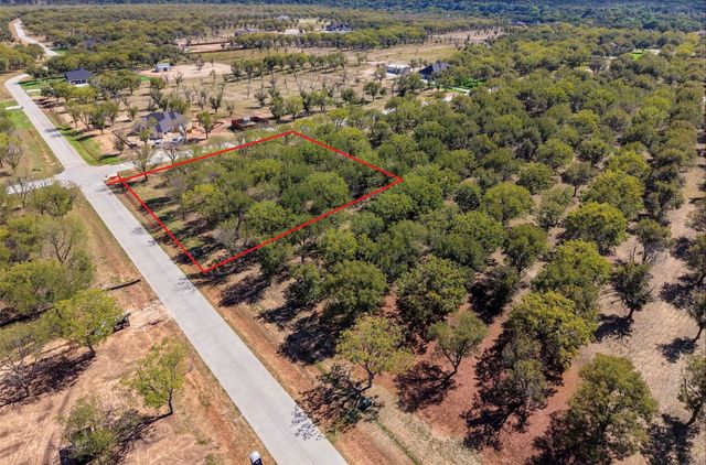 2513 Buckskin Drive, Granbury, TX 76049
