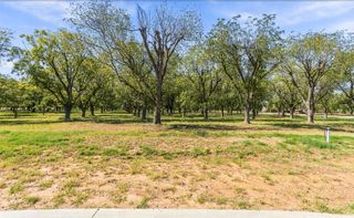 2513 Buckskin Drive, Granbury, TX 76049