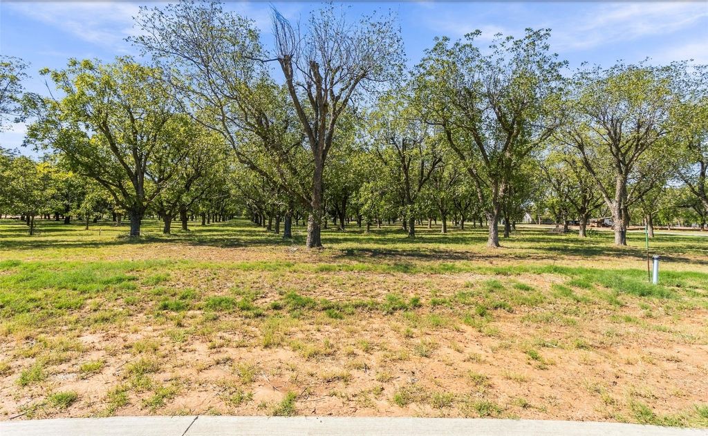 2513 Buckskin Drive, Granbury, TX 76049