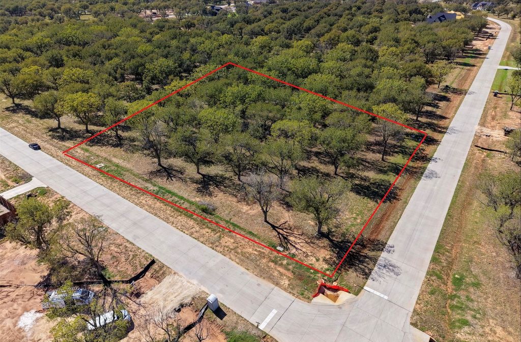 2513 Buckskin Drive, Granbury, TX 76049 — photo 2