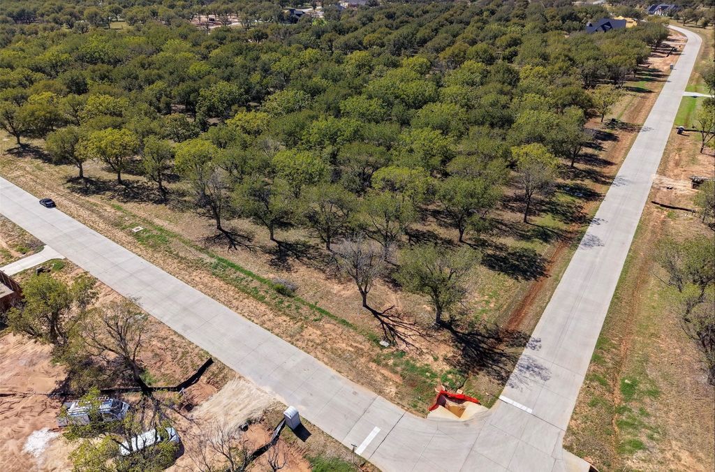 2513 Buckskin Drive, Granbury, TX 76049 — photo 3