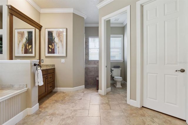 5421 TILDENS GROVE BOULEVARD, Windermere, FL 34786