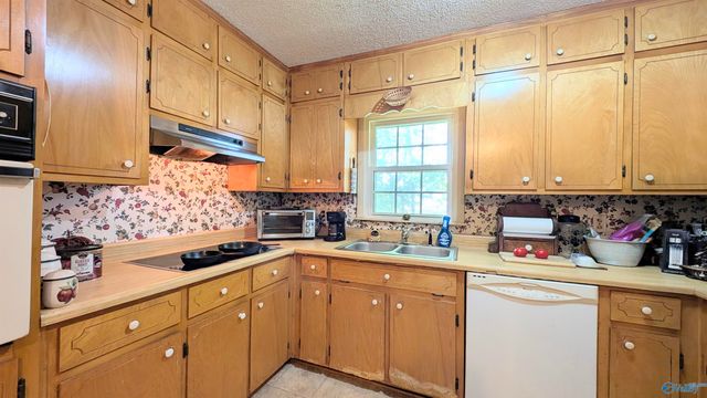 205 Jo Cyn Drive, Glencoe, AL 35905