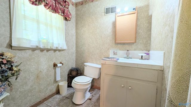 205 Jo Cyn Drive, Glencoe, AL 35905