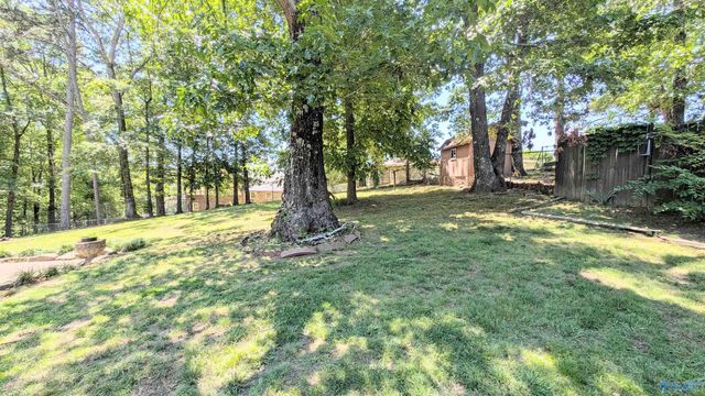205 Jo Cyn Drive, Glencoe, AL 35905