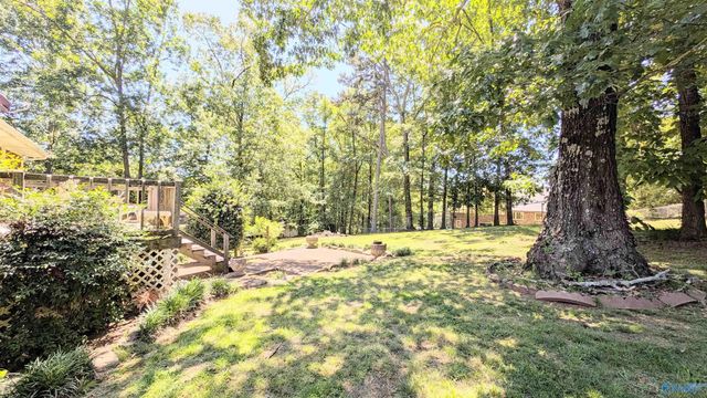 205 Jo Cyn Drive, Glencoe, AL 35905