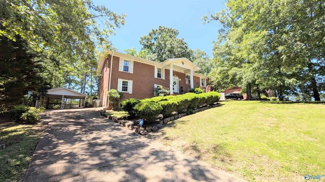 205 Jo Cyn Drive, Glencoe, AL 35905