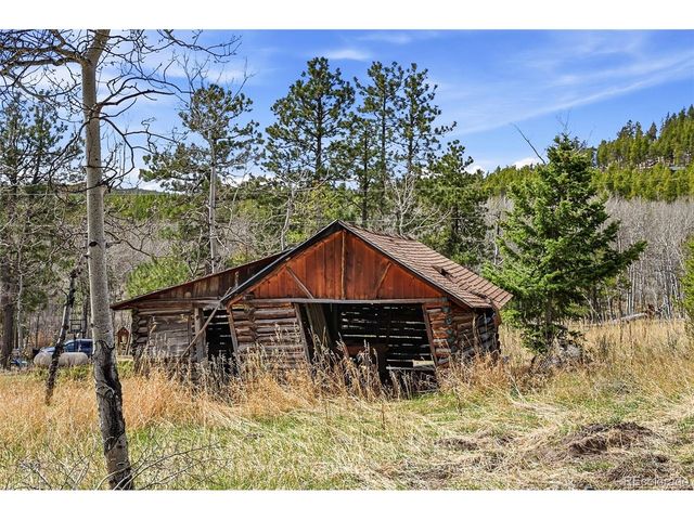 10568 Walters Cir, Morrison, CO 80465