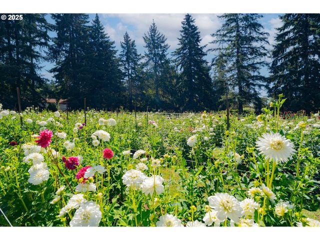 18511 Ne 181ST St, Brush Prairie, WA 98606