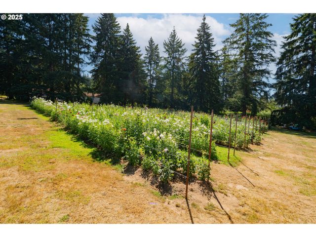 18511 Ne 181ST St, Brush Prairie, WA 98606