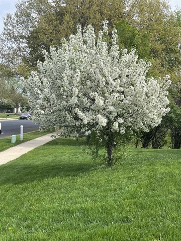 1000 S Division Street, Waunakee, WI 53597