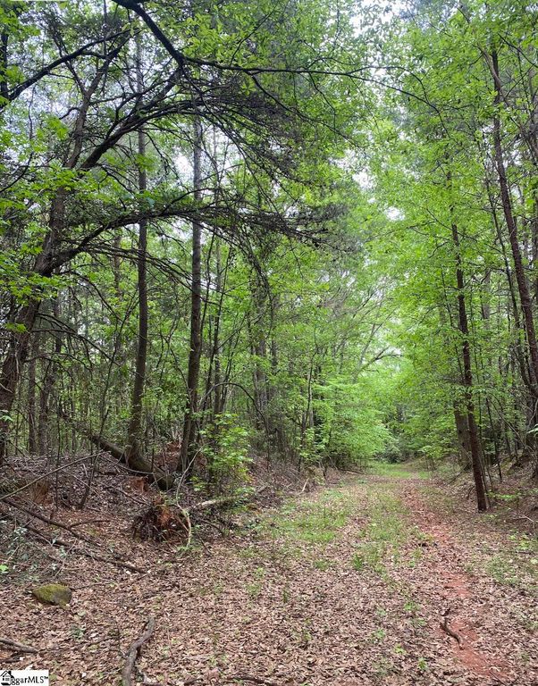 00 Wingo Road, Wellford, SC 29385