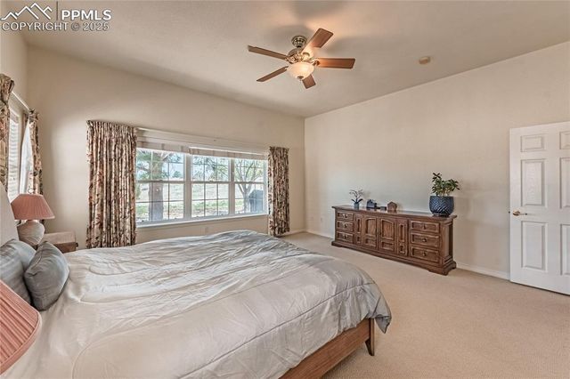 4019 San Felice Point, Colorado Springs, CO 80906