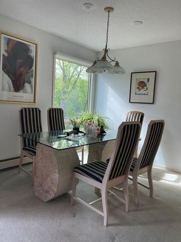 6075 Lincoln Drive 203, Edina, MN 55436