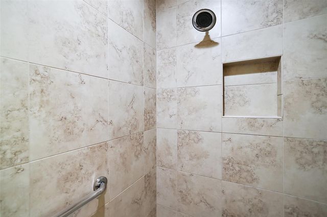 2443 DOOLEY STREET, The Villages, FL 32163