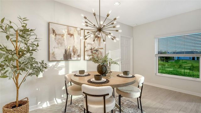 5213 SENZA TRAIL, Palmetto, FL 34221
