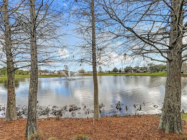 1017 ENCLAIR STREET, Orlando, FL 32828